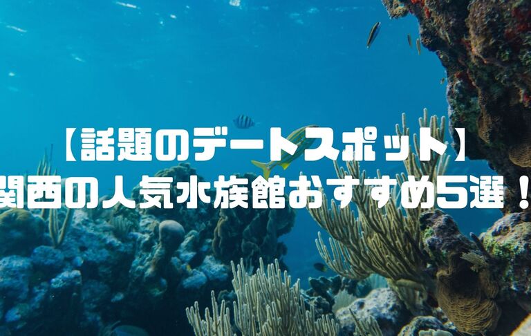 【話題のデートスポット】関西の人気水族館おすすめ5選！